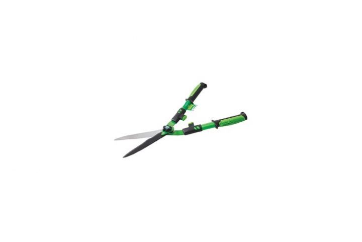 TS 30886 | 56cm - Trapp