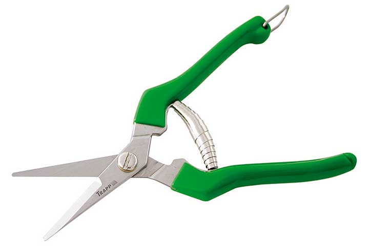 TS 803-S | 20cm - Trapp