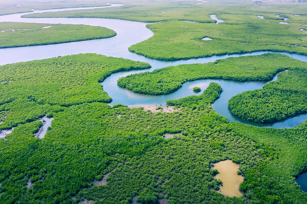 Amazônia. Maior reserva de água doce do Mundo. - Trapp