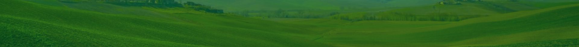 TRF 300G (Motor TRAPP)