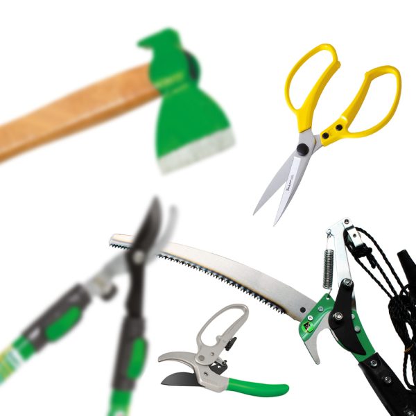 can-and-cut-line